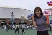 【画像】NHKの中川安奈アナ、球場でおっぱいスラッシュを見せつけてしまう　※gifあり