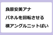 良原安美アナ　パネルを回転させる横アングルのニットおっぱい