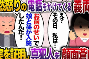 突然怒りの電話をかけてくる義両親「お前のせいで娘と孫が入院した!」私「え？その日は私…」私が無実を証明すると義家族は驚愕…だって…【2chスカッと・ゆっくり解説】
