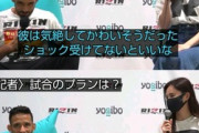 【悲報】朝倉未来「クレベルの打撃は弱かった」