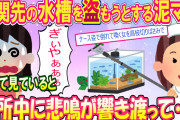 【スカッと】玄関先の水槽から生き物を盗もうとする泥ママ、隠れてみているととんでもない悲鳴が近所に響き渡って･･･【2ch修羅場】