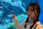 【画像】Juice=Juice有澤一華（21）ちゃんの水族館私服おっぱいｗｗｗｗｗｗ