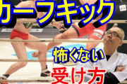 【悲報】カーフキック、格闘技最強技に上り詰める
