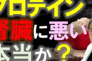 【朗報】『プロテインは腎臓に悪い』終了のお知らせ。真逆の腎臓病予防効果