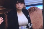 【画像】国会にエチエチ爆乳女が出現してお祭り騒ぎにｗｗｗｗ