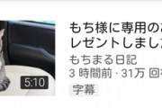 【衝撃】もちまる日記さん、もち様専用の車をプレゼントしてしまう