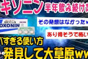 【2ch面白いスレ】ロキソニンランニング、ガチでやべぇものだった【ゆっくり解説】