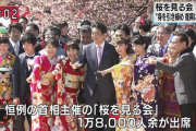 自民党や安倍がモリカケより桜を見る会にびびってるんだが一体何があるんだよ…
