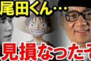 【悲報】尾田くん「Odaを反対から読むとAdo！僕の娘なのかな？(ﾆﾁｬｧｱ』