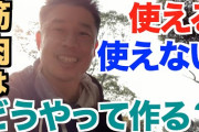 細マッチョだけど筋トレ民は体力ないとか使えない筋肉とか言われがちだから走ってる