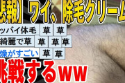 【2ch面白いスレ】【悲報】ワイ、除毛クリームに挑戦するｗｗｗｗｗｗｗｗｗ　聞き流し/2ch天国