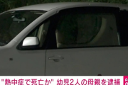 【画像】子供2人を車に1時間放置し死なせた女さん、ご尊顔開示