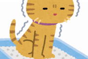 【緊急】ワイの猫が臭いんで助けてほしい！！！！！