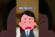 【2ch面白いスレ】職務質問　#Shorts