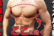 筋トレで胸板を厚くする人…マジで辞めてくれ…