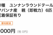 【悲報】そこら辺のダンゴムシ、高値で落札されてしまう