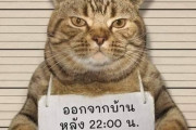 【画像】ネッコ、逮捕される