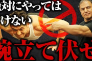 腕立て伏せとかいう最強にしてベストな筋トレｗｗｗｗｗｗ