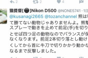【朗報】撮り鉄「クマに襲われたが牛刀で前足２本を斬り落として撃退した！！」