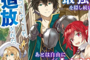 なろう主人公｢優秀な俺を追放して没落してざまぁwwww｣勇者｢気が済んだか？｣