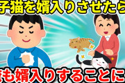 【2ch馴れ初め】二匹の赤ちゃん猫を保護して婿入りさせる→俺も婿入りすることになった…【ゆっくり】
