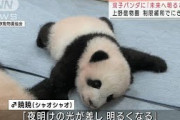 「未来へ明るさを」　双子パンダの名前に込めた思い(2021年10月9日)