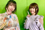 【朗報】竹達彩奈さん、おっぱいの形がくっきりわかる衣装でなんJ民をチンビンさせてしまう