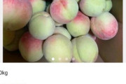 【朗報】山崎県産の桃がメルカリに出品される