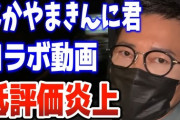 なかやまきんに君「炎上商法したろ！」←やりそうな事