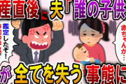【2ch スカっと】出産直後、夫「こいつ誰の子供？」と言い残し出て行った→嫁の退院後、夫「DNA鑑定した！お前の浮気が証明できたから離婚だ！」義両親の前で言われた私は…【スカっとする話】
