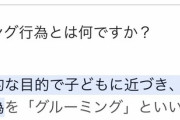 【疑問】小学生と大人の"純愛"が許されない理由ｗｗｗｗｗｗｗｗｗｗｗｗｗｗｗｗｗｗｗｗｗｗ