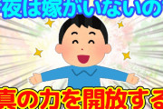 【2ch】今夜は嫁さんが同窓会で出かけていない…今が頃合いか？＆今のご時世出かけられないので…【ゆっくり】