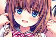 ワイｴﾛｹﾞー担当大臣、姉や妹が実は血の繋がらない義理の関係という展開を禁止する措置を検討中