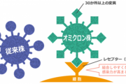 【悲報】オミクロン株の症状、ヤバすぎると話題に