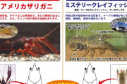 ザリガニが飼育禁止になるらしい　特定外来生物に指定されるんだって