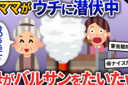 泥ママが家に侵入→隠れていることに気づかず母がバルサンをたいた結果w【2chスカッと・ゆっくり解説】