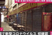 【緊急】中国のコロナウイルス、ガチでバイオハザード！！