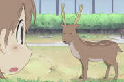 【悲報】鹿の親子、入店拒否される
