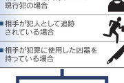 【画像】私人逮捕の要件、かなり限定的だった