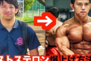 胸板の筋肉量が多ければ多いほどテストステロン値(男性ホルモン)が高い