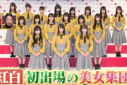 日向坂46の深イイ話キャプ画像200枚まとめ！仲良し魅力、結成苦労、齊藤京子のバビ語、渡邉美穂のアイン稲田ドッキリ！