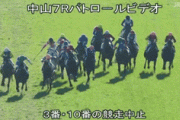 【悲報】今日の落馬事故、がちでヤバイ