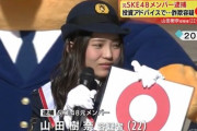 【悲報】元国民的アイドルさん(23)、懲役1年6ヵ月の有罪判決ｗｗｗｗｗｗ