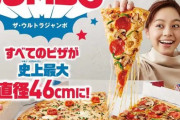 【朗報】ドミノピザさん、ヤケクソなピザを出してしまうｗｗｗｗｗｗ