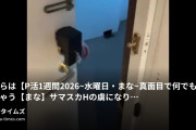 おじの裏事情の動画・こちらは【P活1週間2026～水曜日・まな～真面目で何でもOKしちゃう【まな】サマスカＨの虜になり彼氏と別れてきた！お泊...