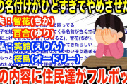 【2ch修羅場】私「夫のセンスひどすぎww」スレ民「いや旦那の候補にしときなよ」夫の名付けが嫌だから説得したい→そしてイッチは自分の名付け候補を出すが…【ゆっくり解説】
