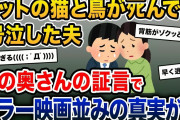 【鳥肌注意】ペットの猫と鳥がﾀﾋんで号泣した夫→隣の奥さんの証言で戦慄の真実が明らかになり…【2ch修羅場スレ・ゆっくり解説】