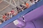【動画】アメフトの試合中ネコが２階席から落下するも星条旗で助かる