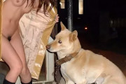 犬もドン引きｗ野外で全裸になってる露出狂の素人娘ｗｗｗｗｗ
