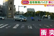 【動画】“信号無視”バイク　車に衝突・・・転倒も何？“逃走”